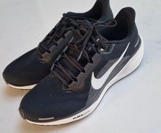Nike Pegasus 41