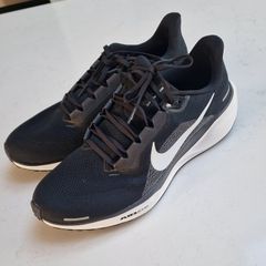 Nike Pegasus 41