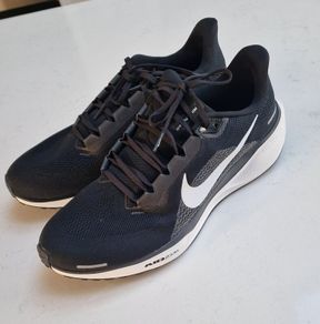 Nike Pegasus 41