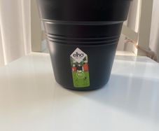 flower pots 2