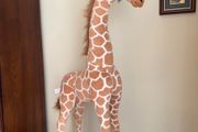 Novelty Giraffe