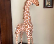 Novelty Giraffe