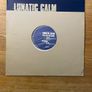 Lunatic Calm - Leave You Far Behind - 12" Vinyl Promo Single - 1997 MCA Records Image 2