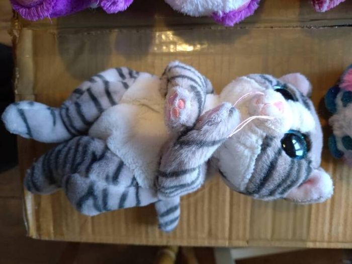 TY teddies collection