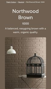 5lt Benjamin Moore Northwood Brown paint