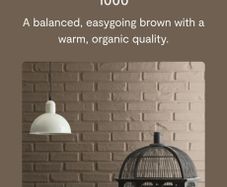 5lt Benjamin Moore Northwood Brown paint