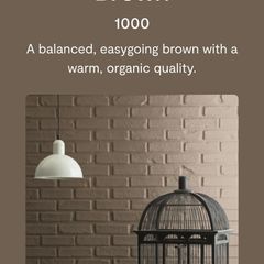 5lt Benjamin Moore Northwood Brown paint