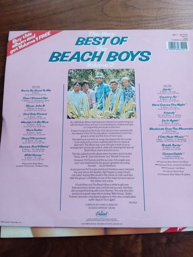 Beach Boys Old Vinyl