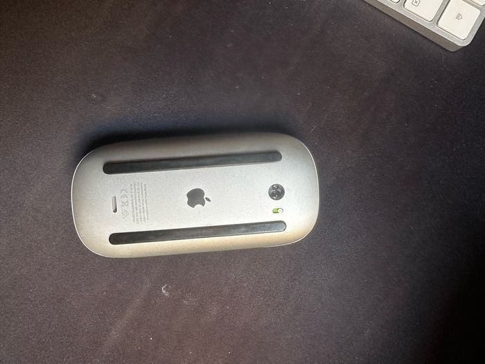 Apple Magic Keyboard + Magic Mouse