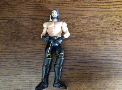 WWE Figure Seth Rollins 2012 discontinued