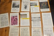 Vintage Department Of Agricultural Pamplets,and Leaflets X 13. In Good Condition.  See Photos For Same.