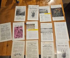 Vintage Department Of Agricultural Pamplets,and Leaflets X 13. In Good Condition.  See Photos For Same.