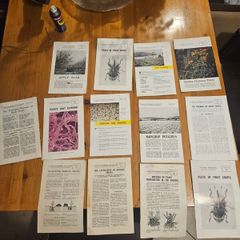 Vintage Department Of Agricultural Pamplets,and Leaflets X 13. In Good Condition.  See Photos For Same.
