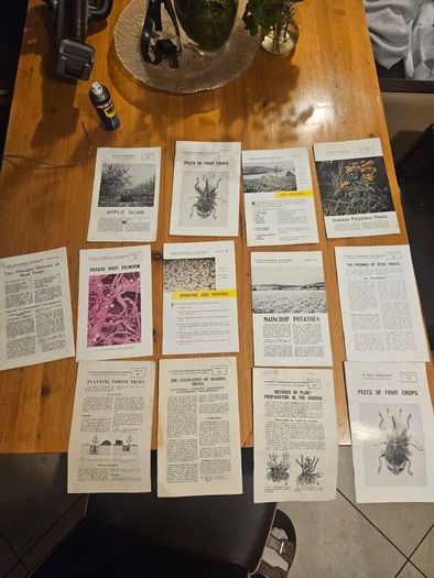 Vintage Department Of Agricultural Pamplets,and Leaflets X 13. In Good Condition.  See Photos For Same.