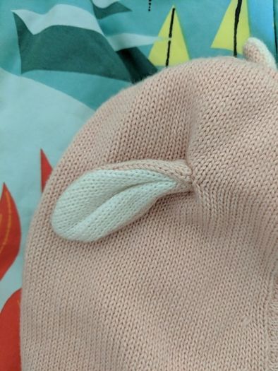 Hat with ears
