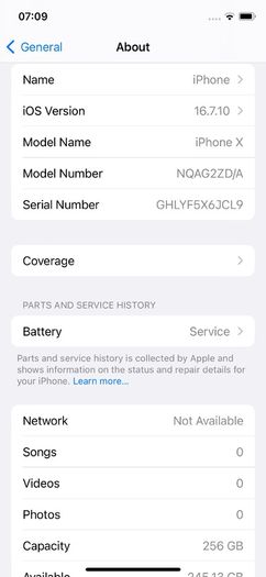 iPhone X