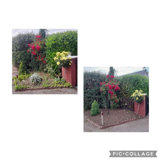 Garden maintenance