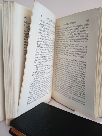 The Joyful Delaneys: A Novel by Hugh Walpole (HQ157)