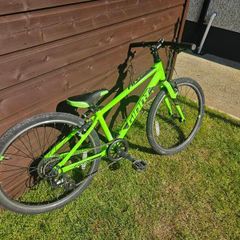 Giant ARX 24" kids bike