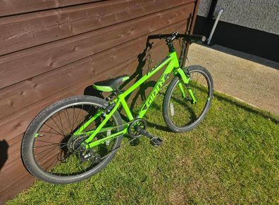 Giant ARX 24" kids bike