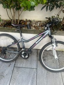 VENUS 24 Procycle Bike