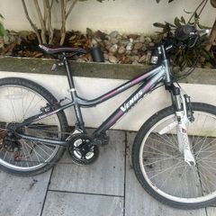 VENUS 24 Procycle Bike