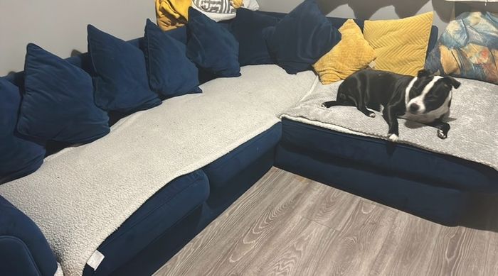 sofa for sale