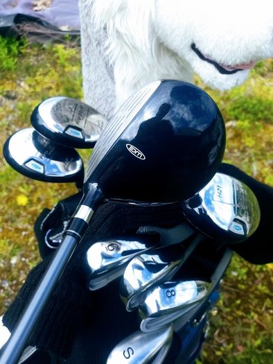 Set of Ladies Golf Clubs