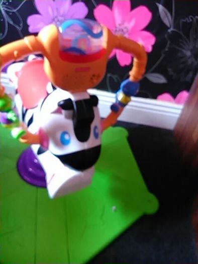 Zebra bouncer