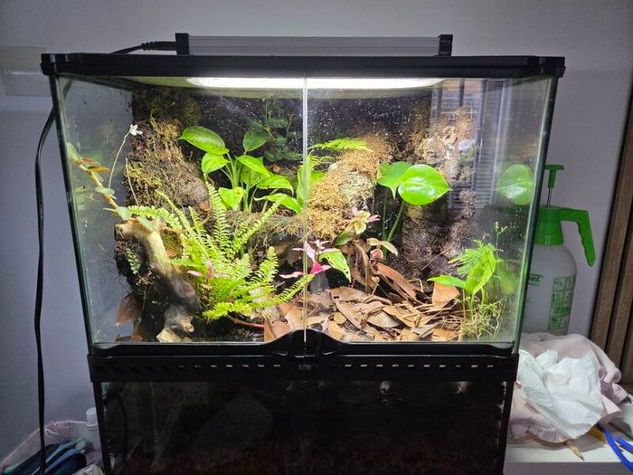 Complete Bio Active Terrarium