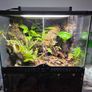 Complete Bio Active Terrarium Image 7