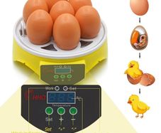 Mini 7 Egg Incubator Automatic Hatching Poultry Incubator Hatcher Tool, Automatic Temperature Control and Led Screen:AVAILABLE FOR COLLECTION