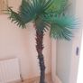 Artificial Palm Tree Image 2