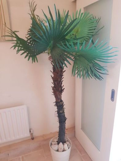 Artificial Palm Tree