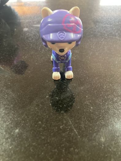 Paw Patrol Roxy