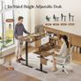 120 x 60 cm Sit-Stand Desk with 2 Memory Buttons Image 2