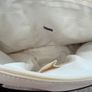 Primark Cream and Black Adventures awaits Weekender Bag Image 3