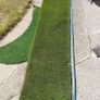 grass Image 3