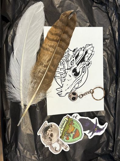 1 x 30 Day Adult Oddity Birthday Calendar Bones Crystals & Curio Jewelry Gothic Countdown Box Witchy Curiosity Gift Set