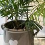 Grey Ceramic Vase with Heart Motif and Handles (new) Image 4