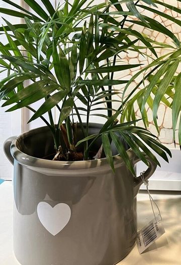 Grey Ceramic Vase with Heart Motif and Handles (new)