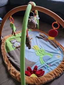 Baby activity gym