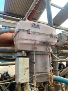 Gascongne 12 point Milking Parlour