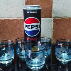 Vintage Radua Bohemian crystal shot glasses
