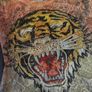 4 Sparkle Tee shirts size S-M Image 5