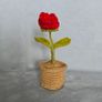 Handmade mini Flower Rose Pot Image 5