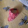 small bandana dog collar Image 2