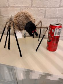 Creepy spider