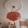 Beautiful Flycatcher light shade Image 6
