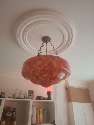 Beautiful Flycatcher light shade